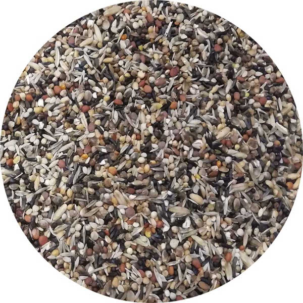 CONDITIONING SEEDS .jpg